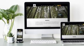 Image of website featured on three different devices