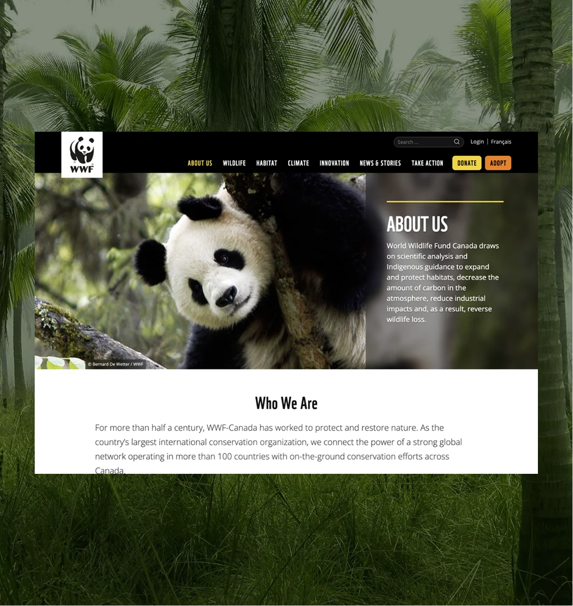A Nonprofit Working to Save Our Planet’s Species and Habitats.